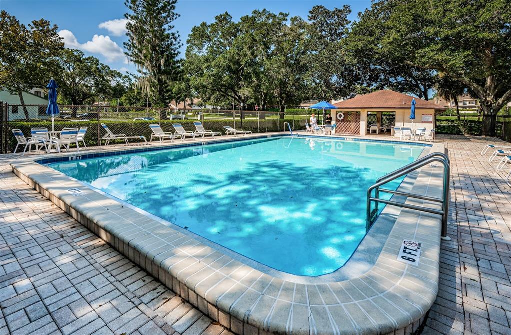3500 Magnolia Ridge Circle, Unit 405 Palm Harbor, FL 34684 - Photo 51 of 57