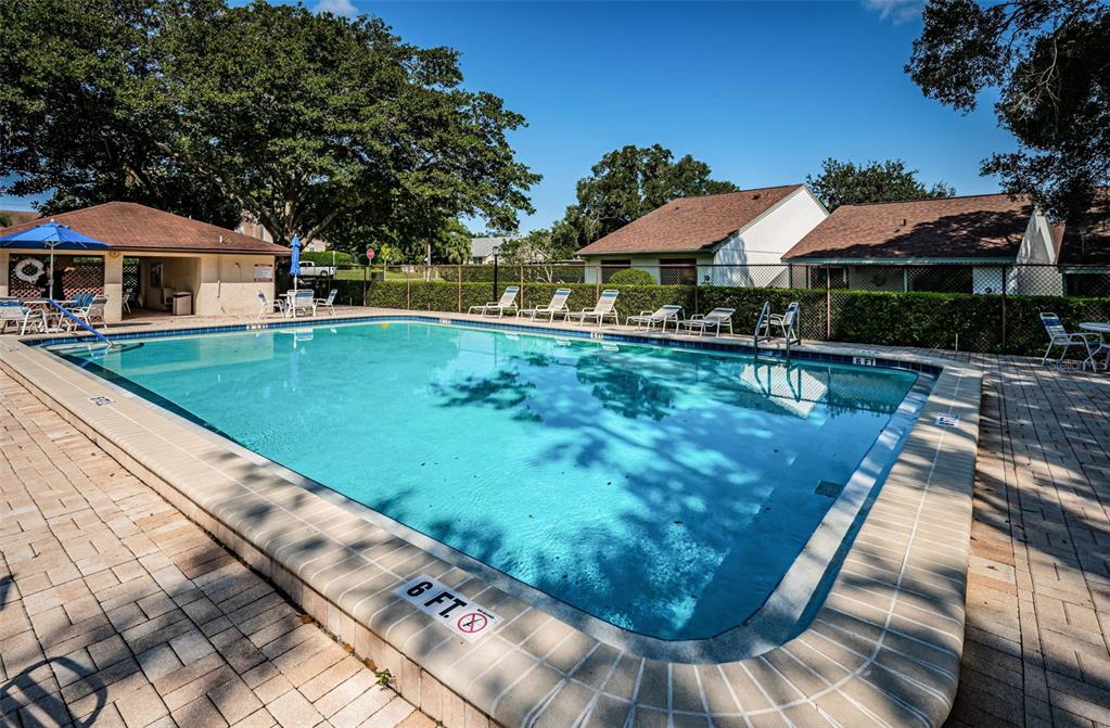 3500 Magnolia Ridge Circle, Unit 405 Palm Harbor, FL 34684 - Photo 53 of 57