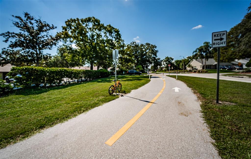3500 Magnolia Ridge Circle, Unit 405 Palm Harbor, FL 34684 - Photo 56 of 57