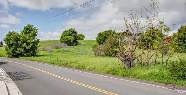 a view of a pathway both side of green field with trees in the background