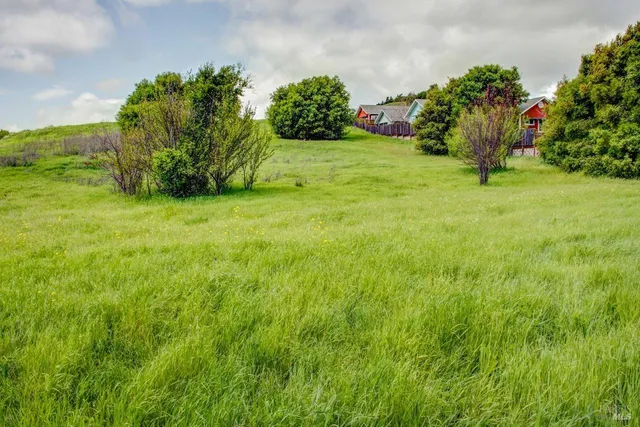 a view of a pathway both side of a garden