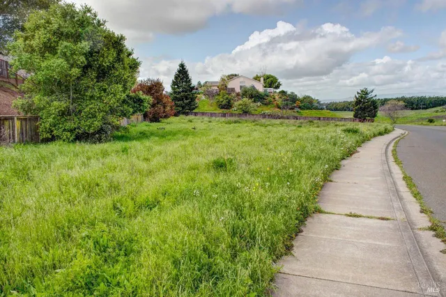 a view of a big yard with large trees