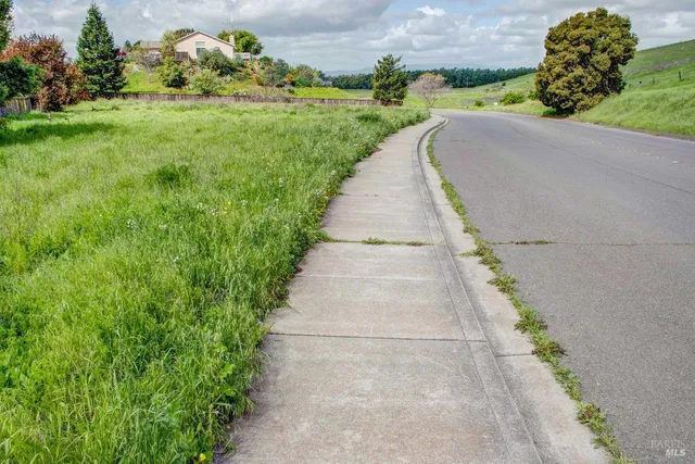 a view of a yard with potted plants