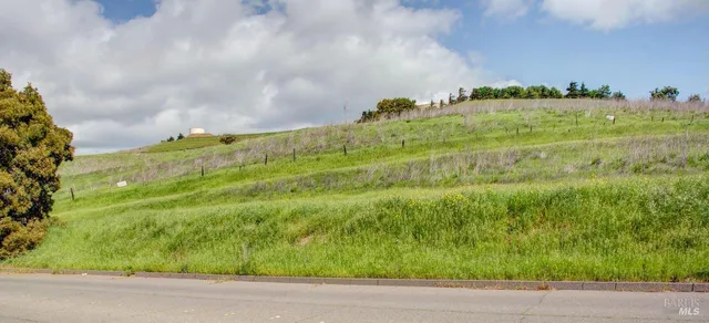 a view of a garden with an ocean view