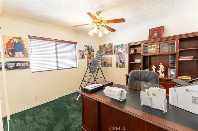 a bathroom with a shower and toilet