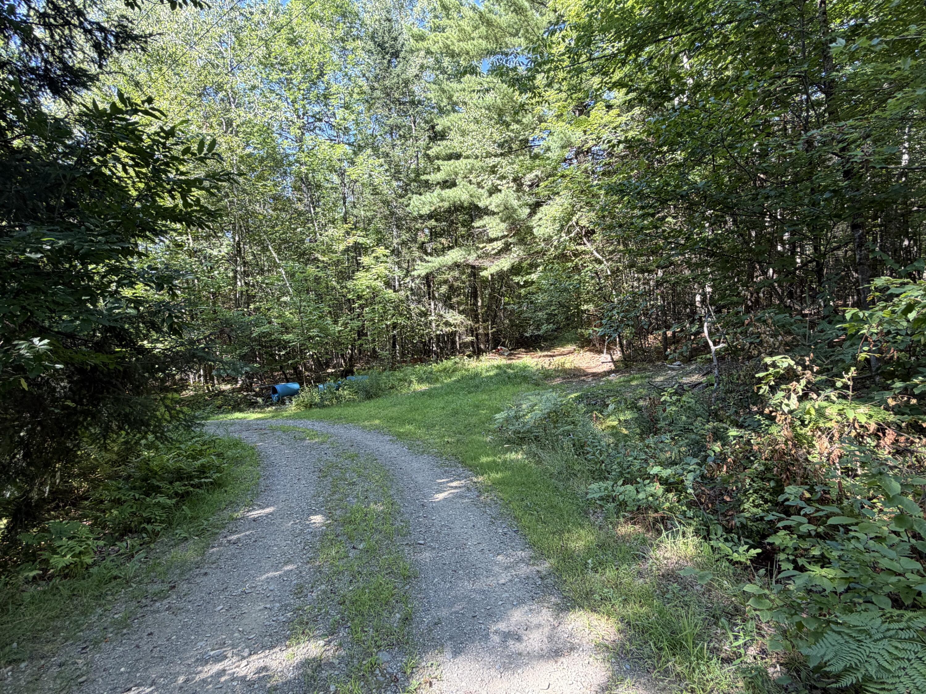 9 Map Road Garland, ME 04939 - Photo 7 of 8 IMG_4183
