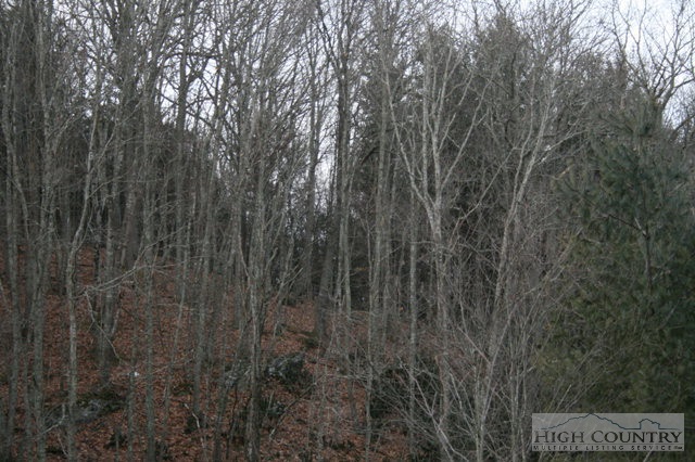 Shortcut Road Crumpler, NC 28617 - Photo 2 of 5 Gallery Image 2