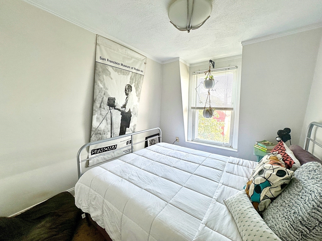 242 Princeton Street, Unit 3 Boston, MA 02128 - Photo 8 of 12