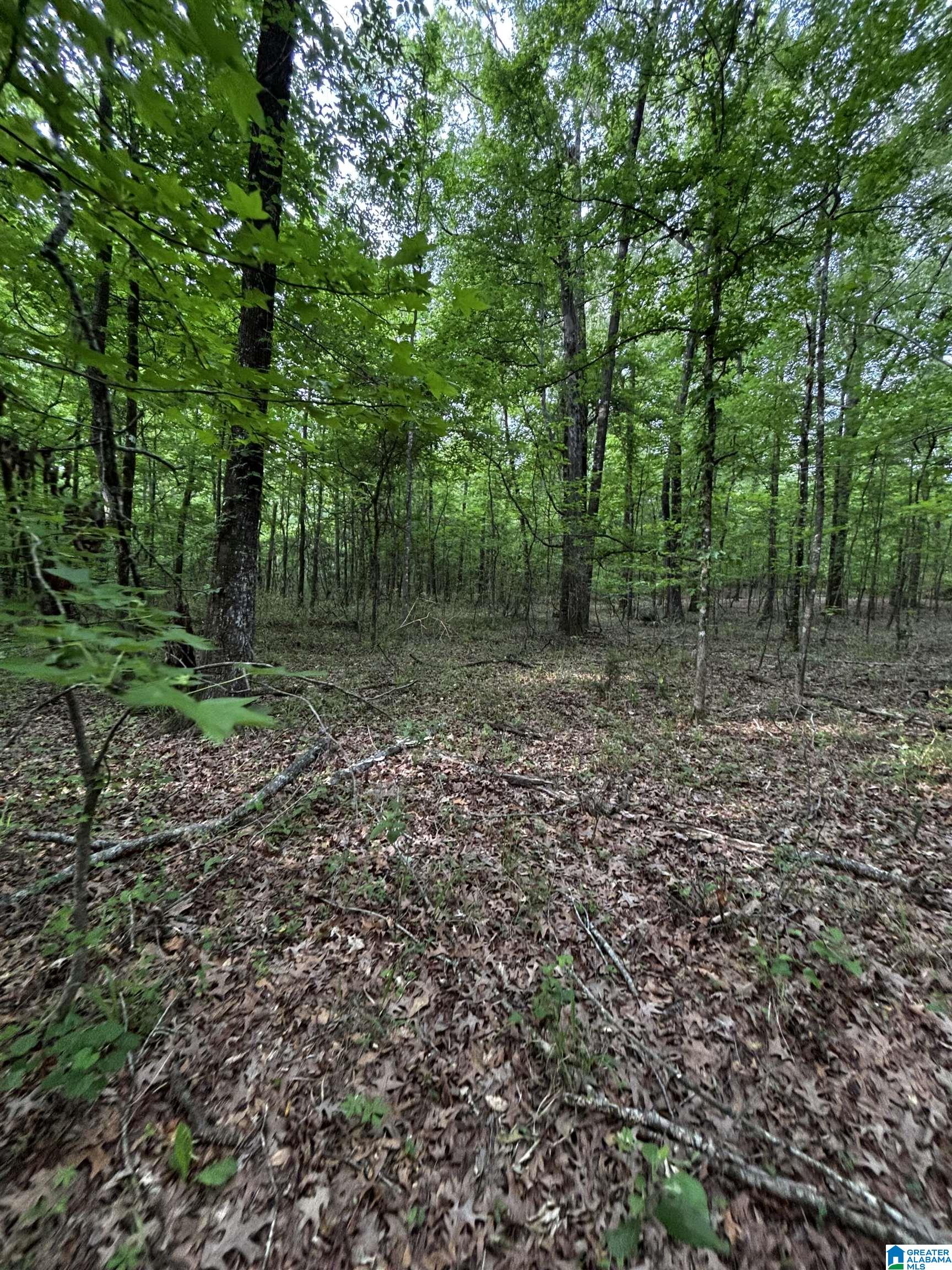 0 County Road 225, Unit 1 Minter, AL 36761 - Photo 9 of 9