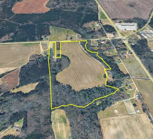 $265,000 | Tbd Moses Dingle Road, Manning, SC 29102