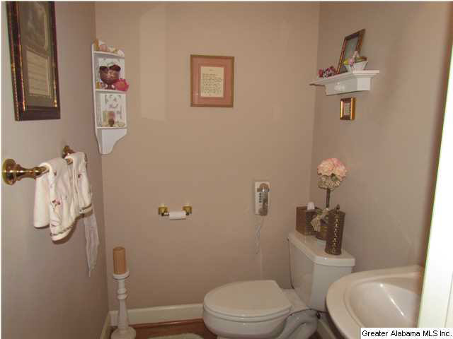 62 MacDonald Lane Springville, AL 35146 - Photo 11 of 23