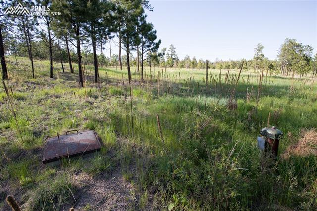 12812 Goodson Road Colorado Springs, CO 80908 - Photo 9 of 12