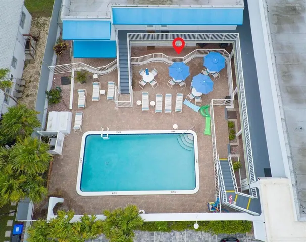 a garden with palm trees