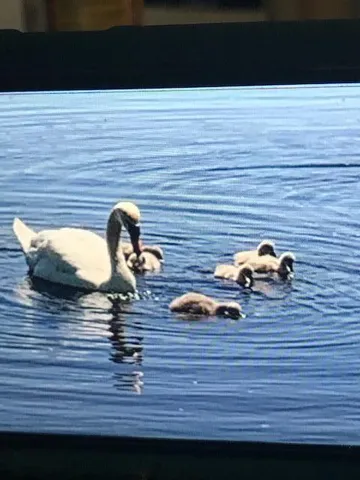 a view of a roof deck with table and chairs