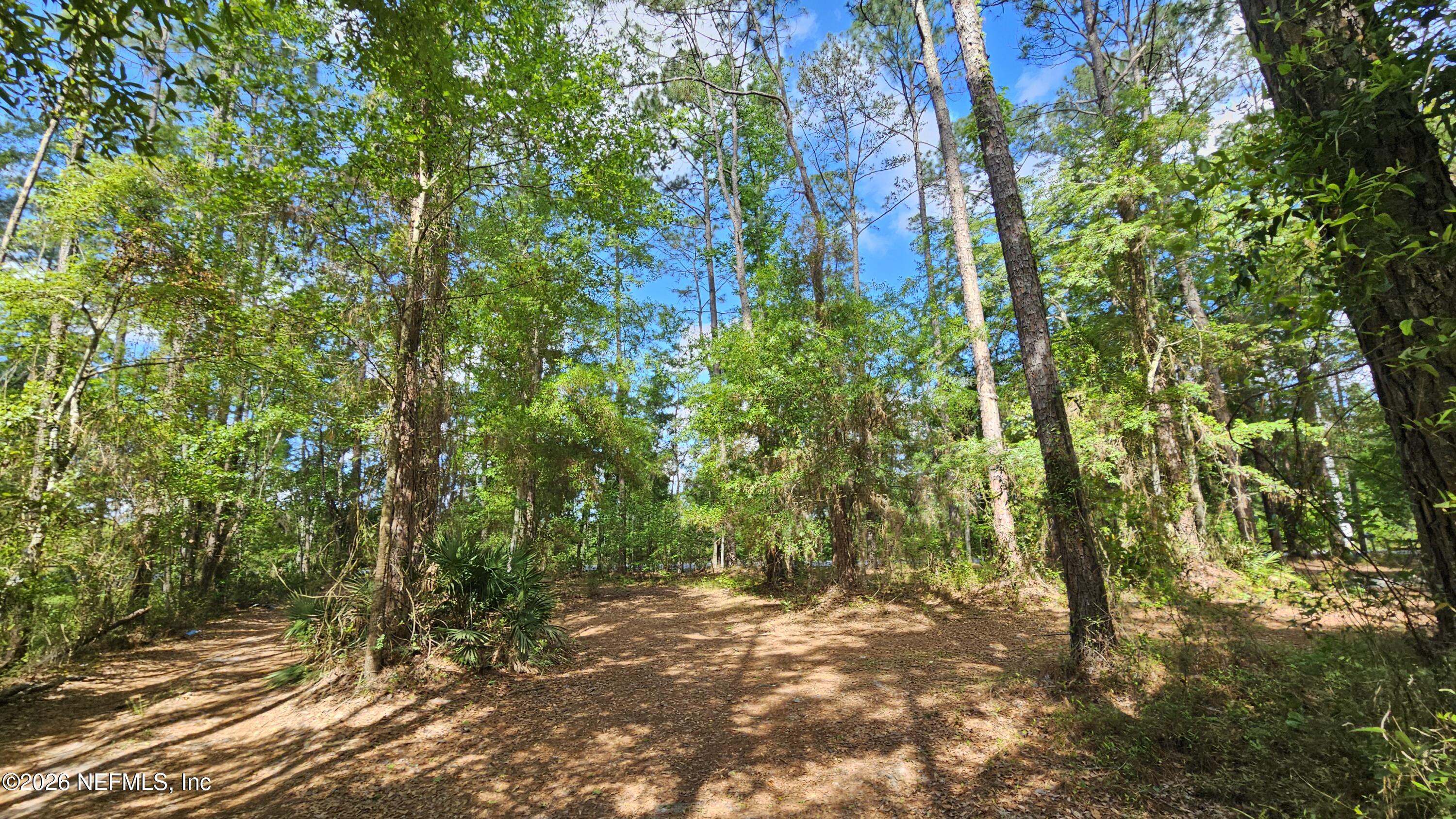 6324 Lannie Road Jacksonville, FL 32218 - Photo 9 of 62 1000105428