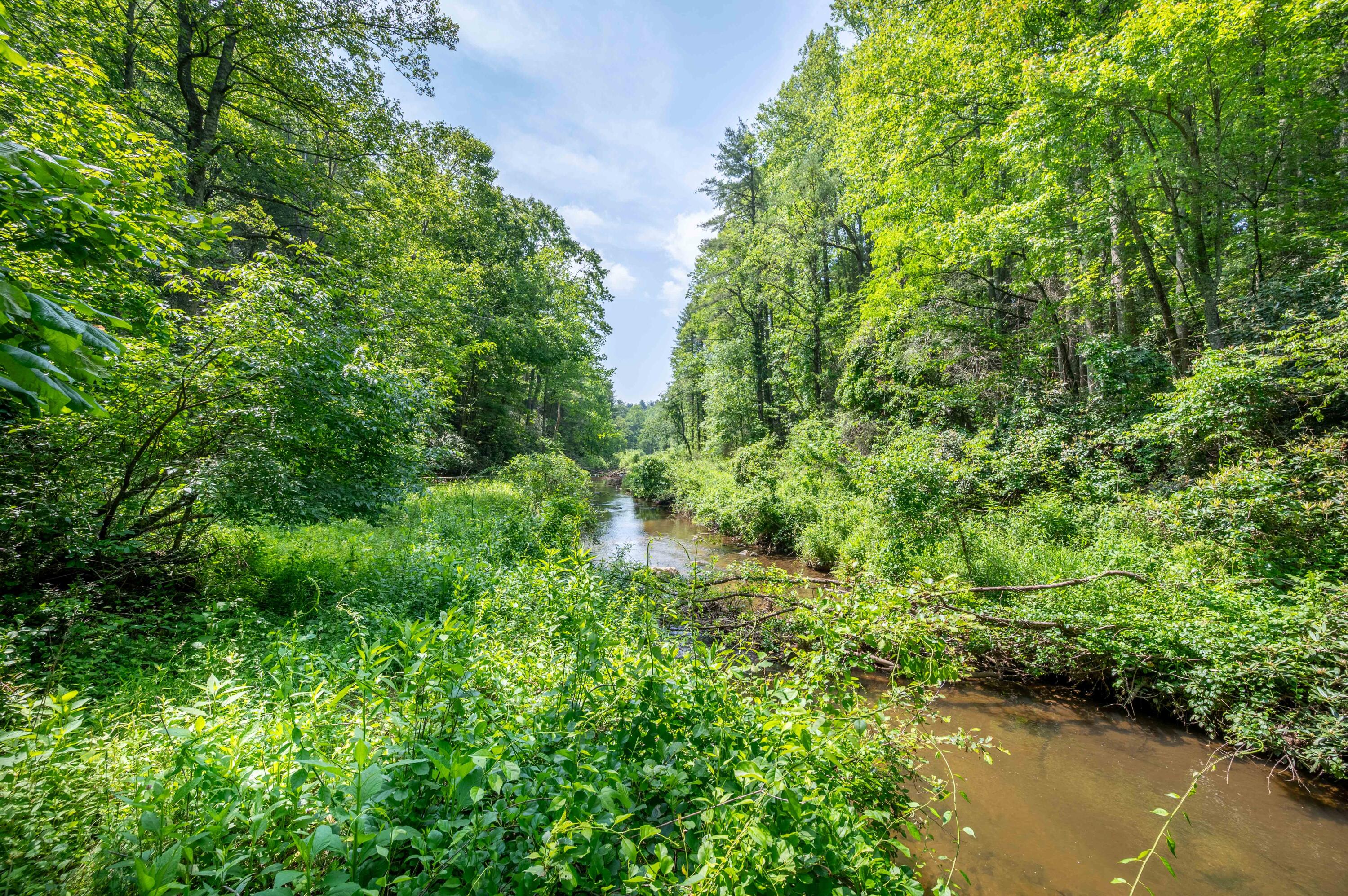 1073 Timberline Road Southeast Copper Hill, VA 24079 - Photo 30 of 56 29