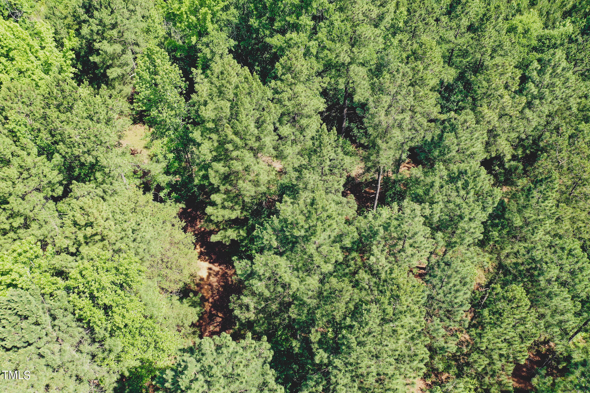 111-acres Hobgood Road Rougemont, NC 27572 - Photo 12 of 65 12