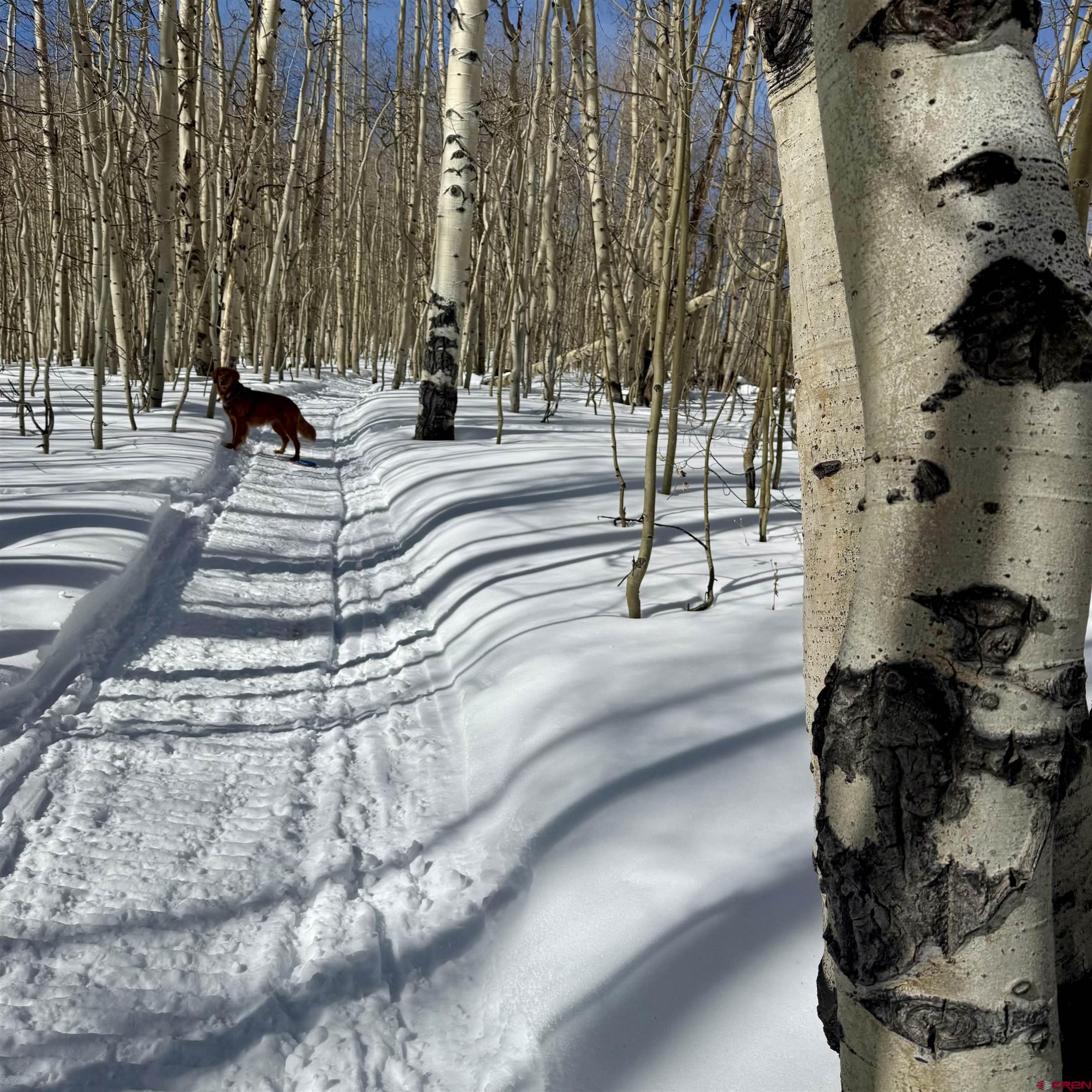 Tbd Prospect Drive Crested Butte, CO 81225 - Photo 19 of 43