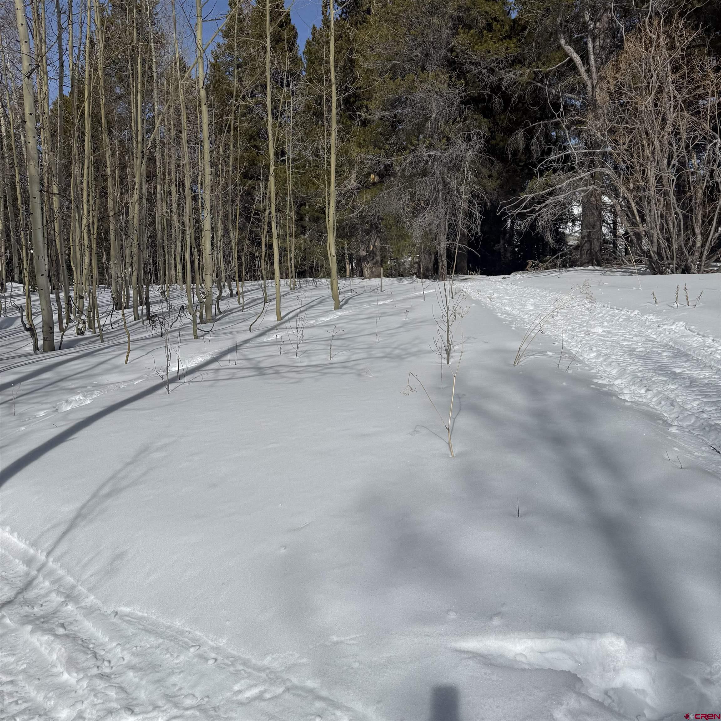 Tbd Prospect Drive Crested Butte, CO 81225 - Photo 31 of 43