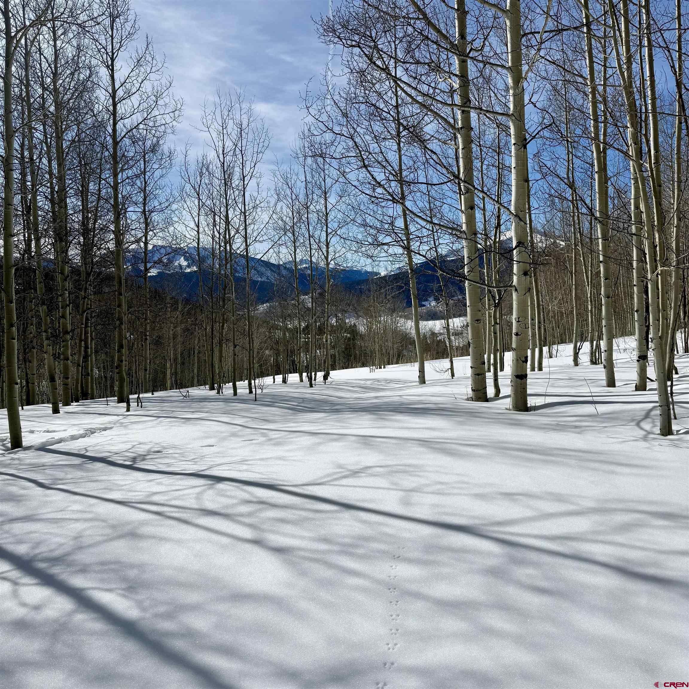 Tbd Prospect Drive Crested Butte, CO 81225 - Photo 32 of 43