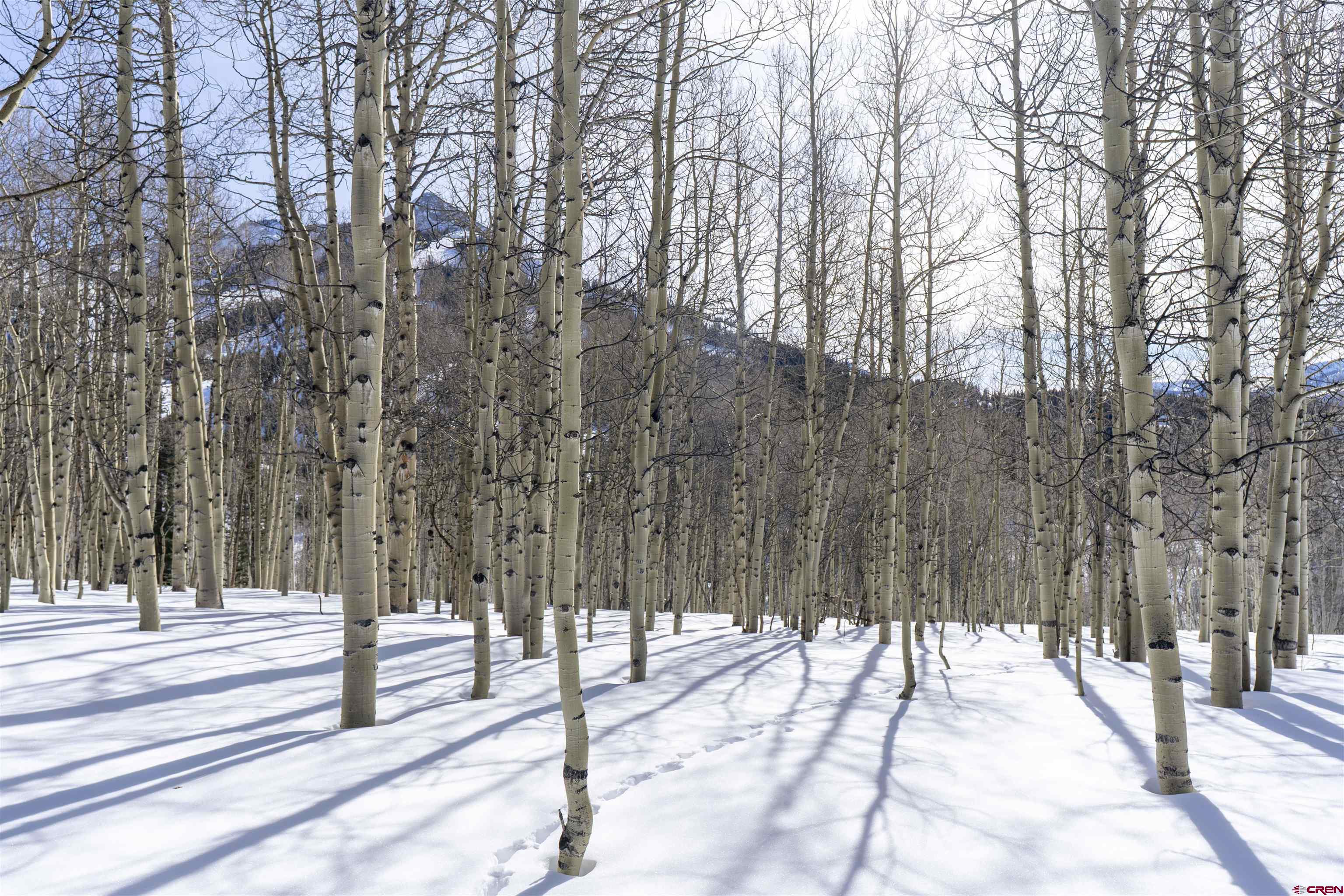 Tbd Prospect Drive Crested Butte, CO 81225 - Photo 38 of 43