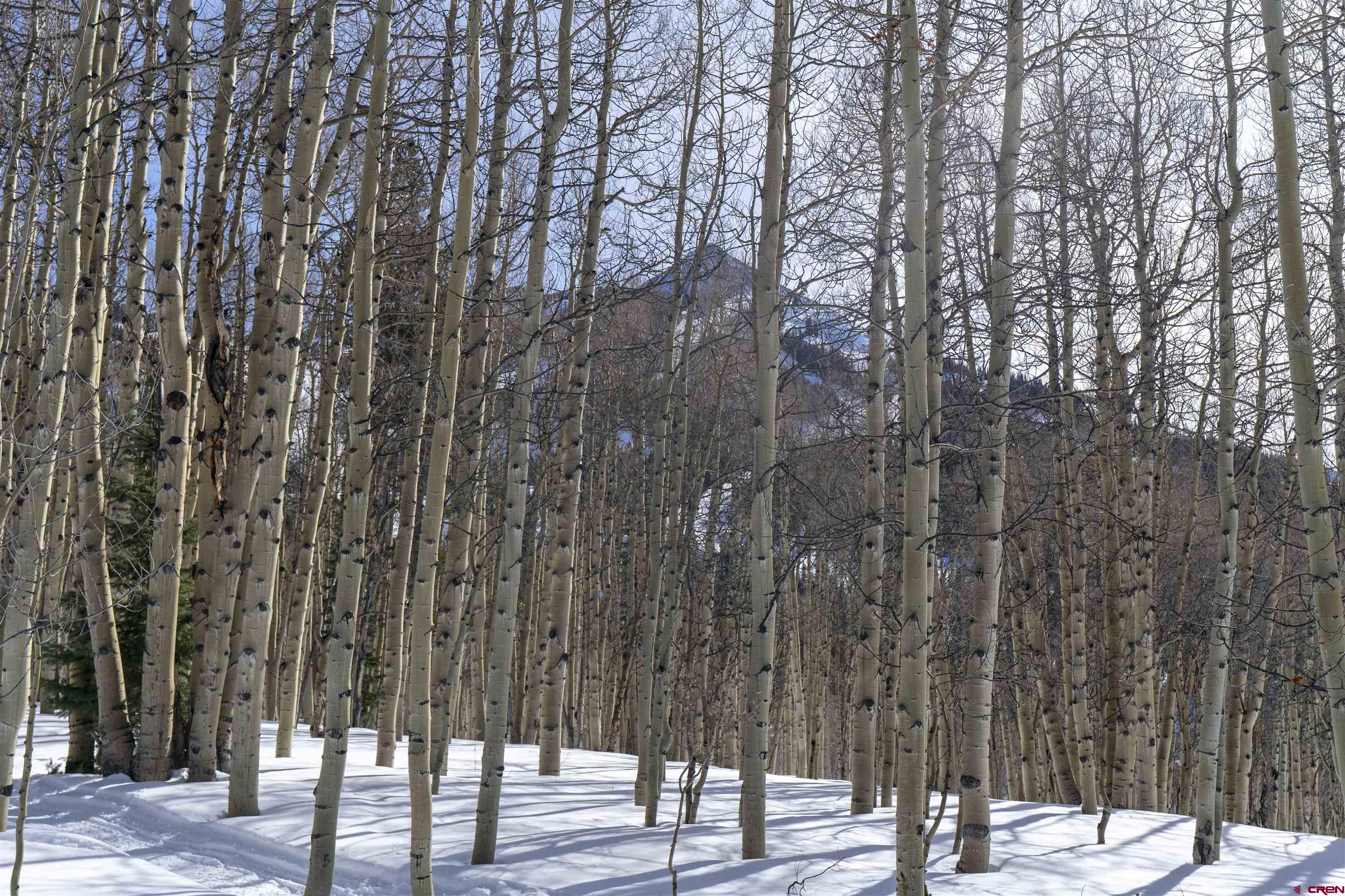 Tbd Prospect Drive Crested Butte, CO 81225 - Photo 9 of 43