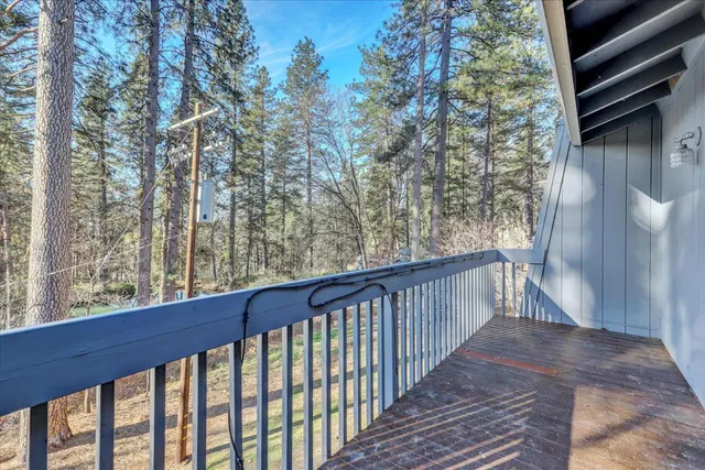 a view of a yard with plants and trees
