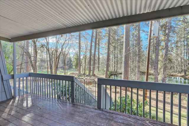 a view of a field with a tree