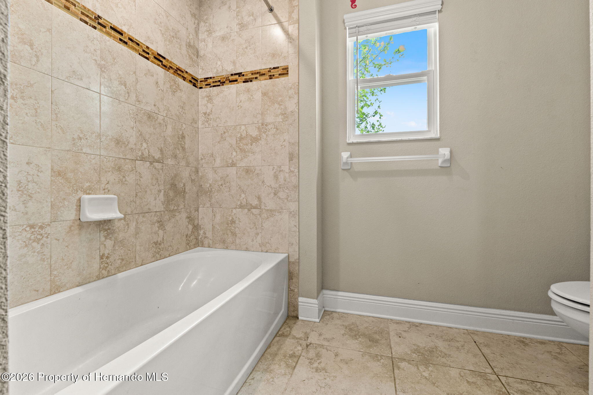 18696 Malinche Loop Spring Hill, FL 34610 - Photo 56 of 69
