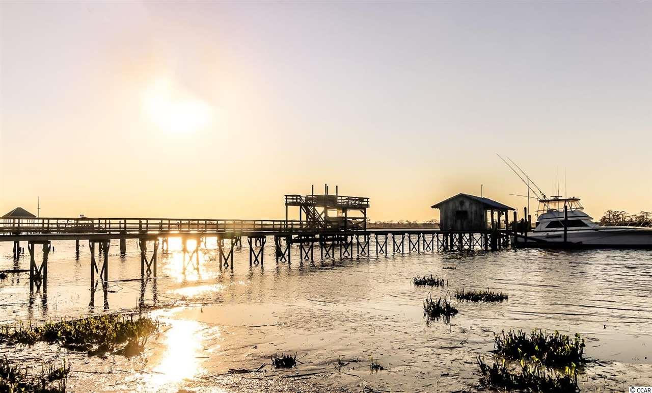 332 Otter Run Road Pawleys Island, SC 29585 - Photo 22 of 25 Gallery Image 22