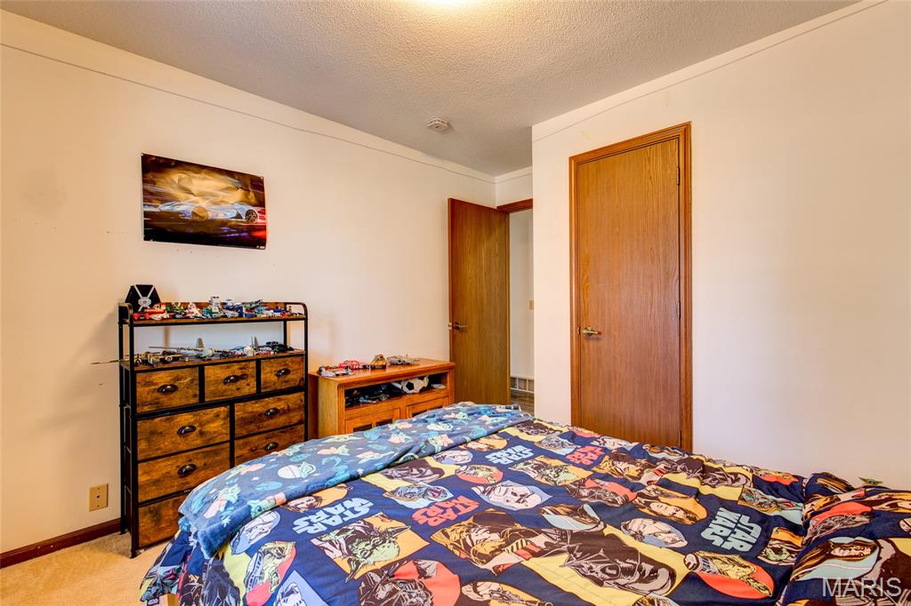 171 Willowood Road Litchfield, IL 62056 - Photo 15 of 43