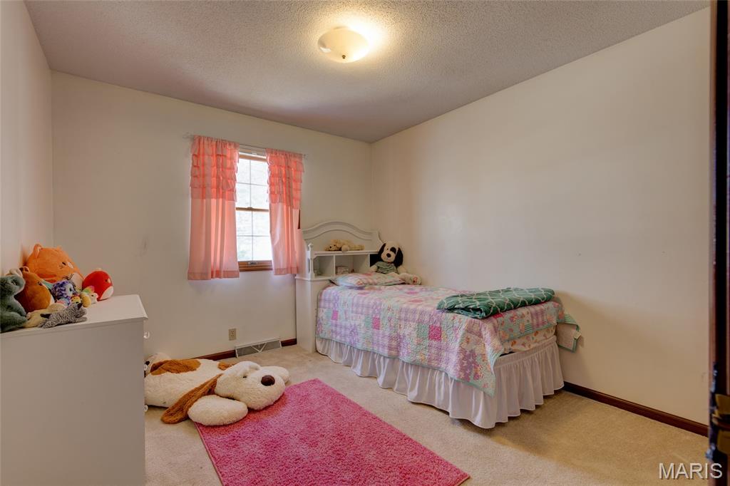 171 Willowood Road Litchfield, IL 62056 - Photo 16 of 43