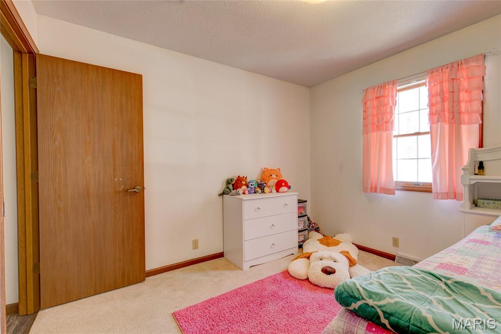 171 Willowood Road Litchfield, IL 62056 - Photo 17 of 43