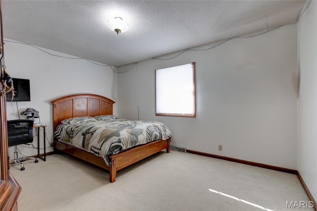 171 Willowood Road Litchfield, IL 62056 - Photo 18 of 43