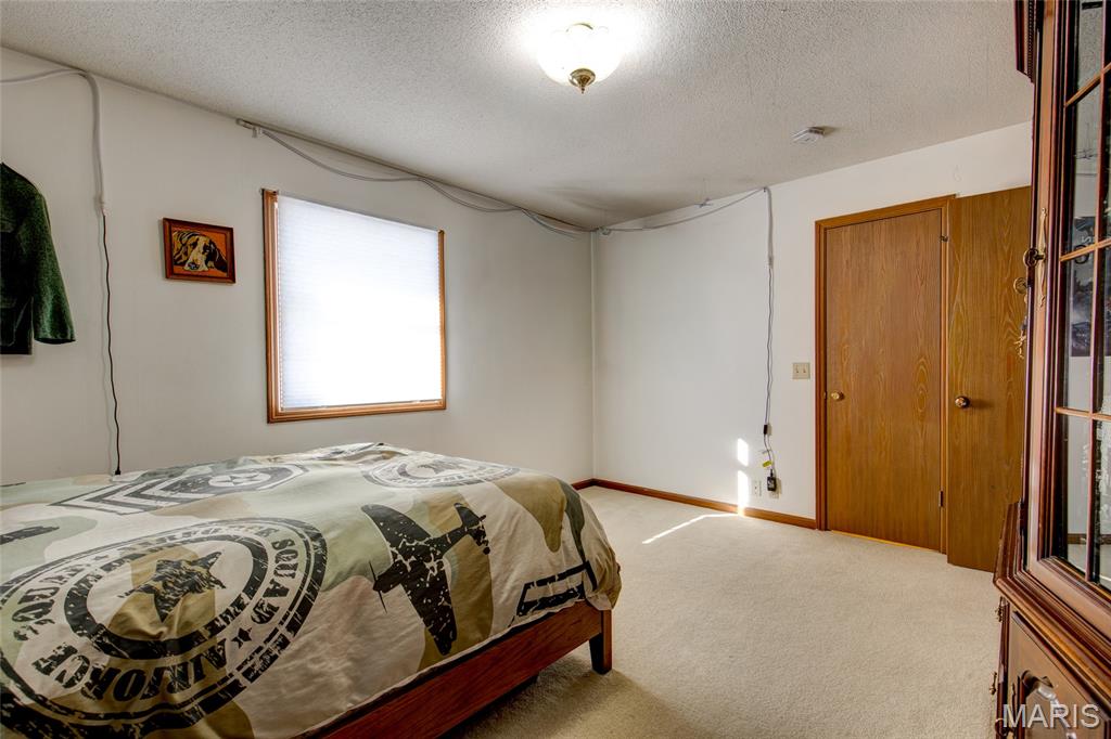 171 Willowood Road Litchfield, IL 62056 - Photo 20 of 43