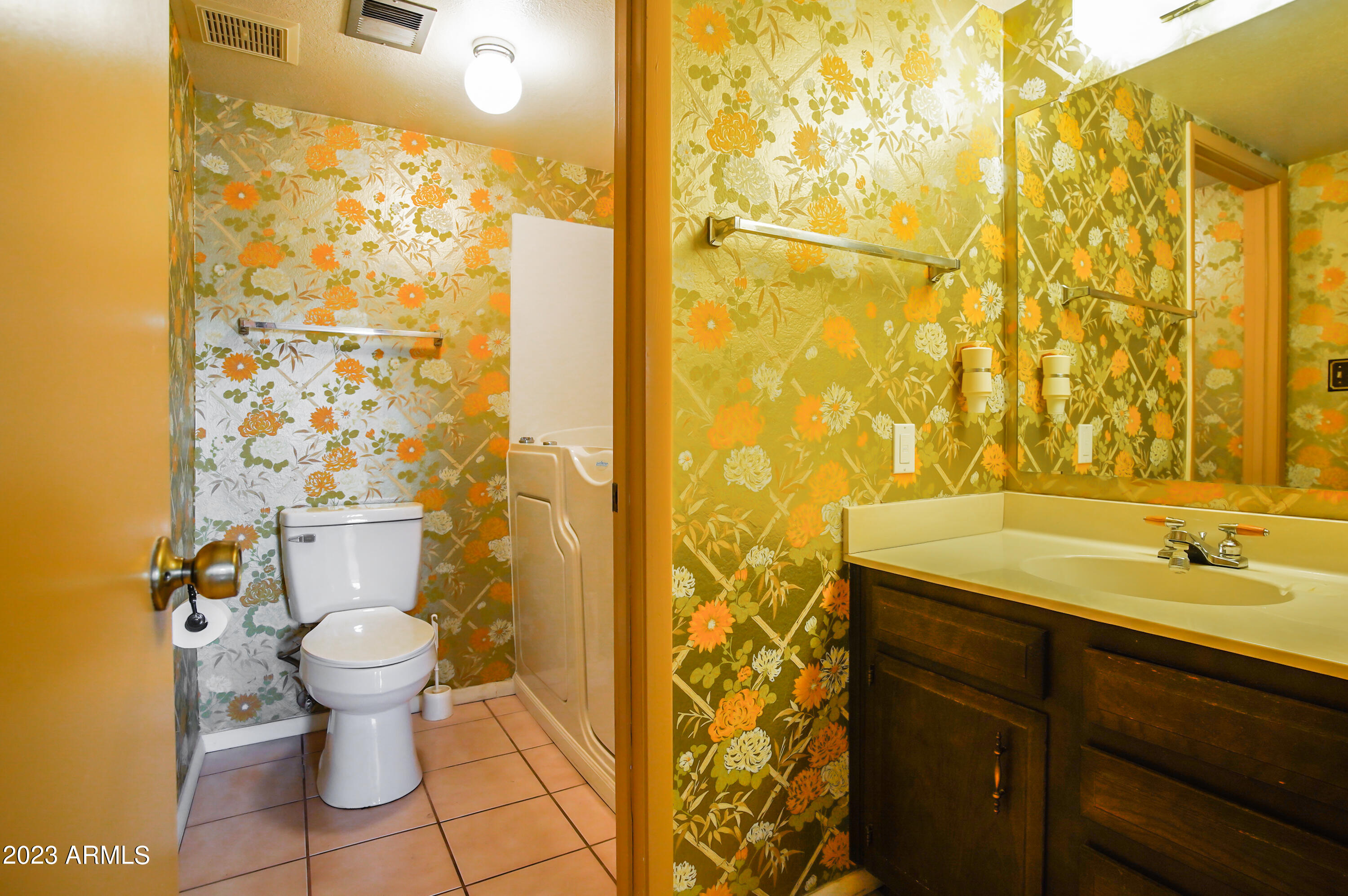 1733 West Decatur Street Mesa, AZ 85201 - Photo 12 of 36 hall bath