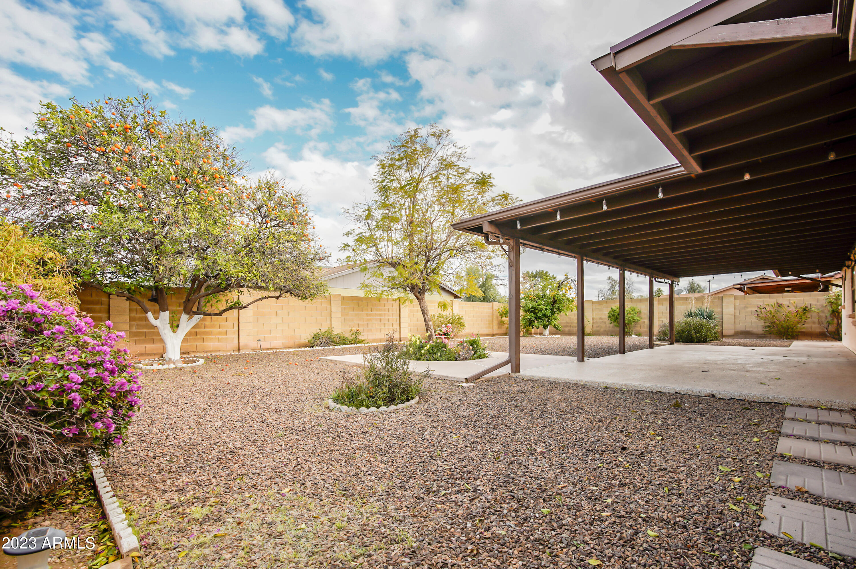1733 West Decatur Street Mesa, AZ 85201 - Photo 20 of 36 back 3