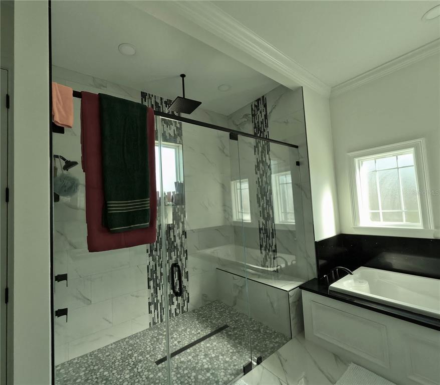 10112 Judy Road Dover, FL 33527 - Photo 35 of 50 a bathroom with a shower and a sink