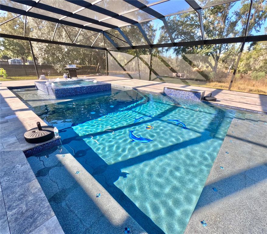 10112 Judy Road Dover, FL 33527 - Photo 42 of 50 a view of swimming pool with a yard