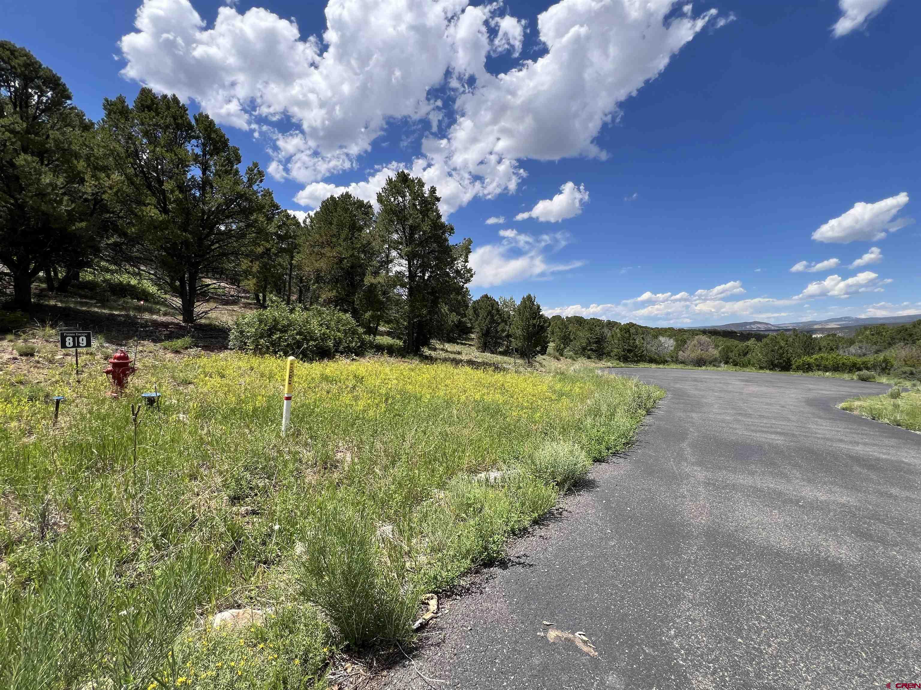 Lot 9 Pointe Escape Drive Ridgway, CO 81432 - Photo 3 of 33