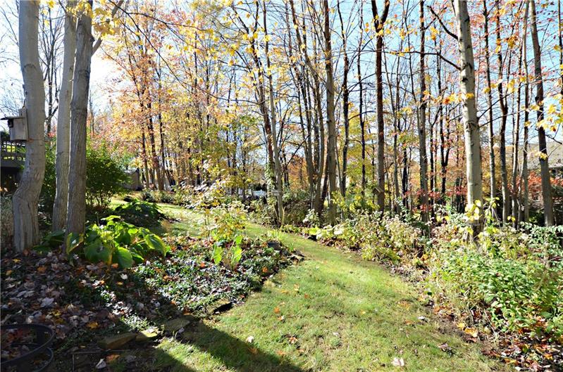 480 Sebring Road Beaver, PA 15009 - Photo 24 of 25 Back yard is tree lined and rustic.