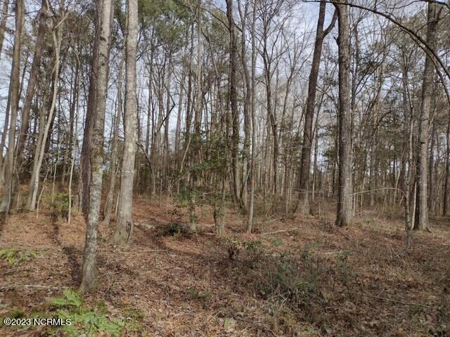 3 Hall Road Robbins, NC 27325 - Photo 3 of 9 TREES