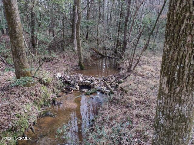 3 Hall Road Robbins, NC 27325 - Photo 6 of 9 CREEK2