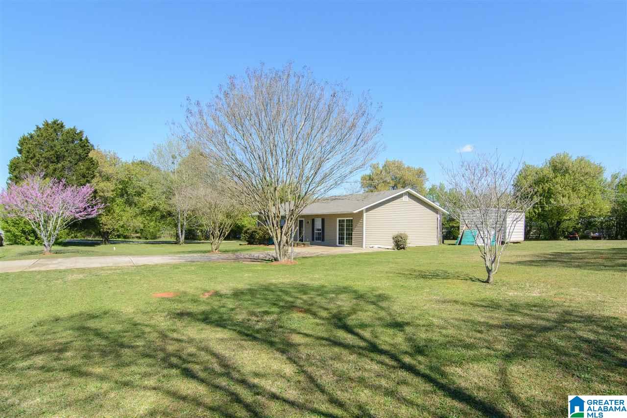 193 Old Lokey Ferry Road Wilsonville, AL 35186 - Photo 3 of 36