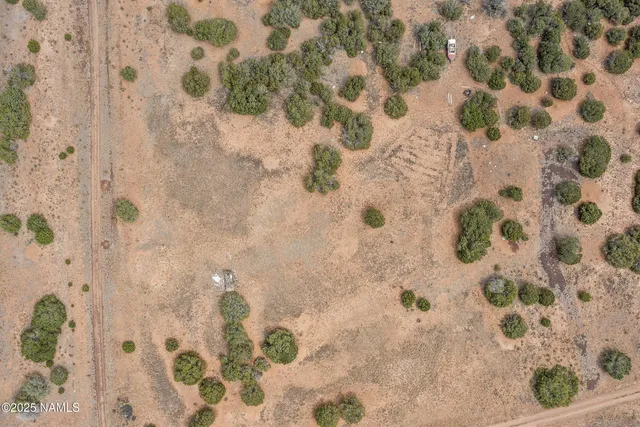 a bathroom with a shower curtain