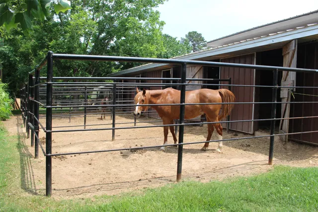 a view of outdoor space with garden