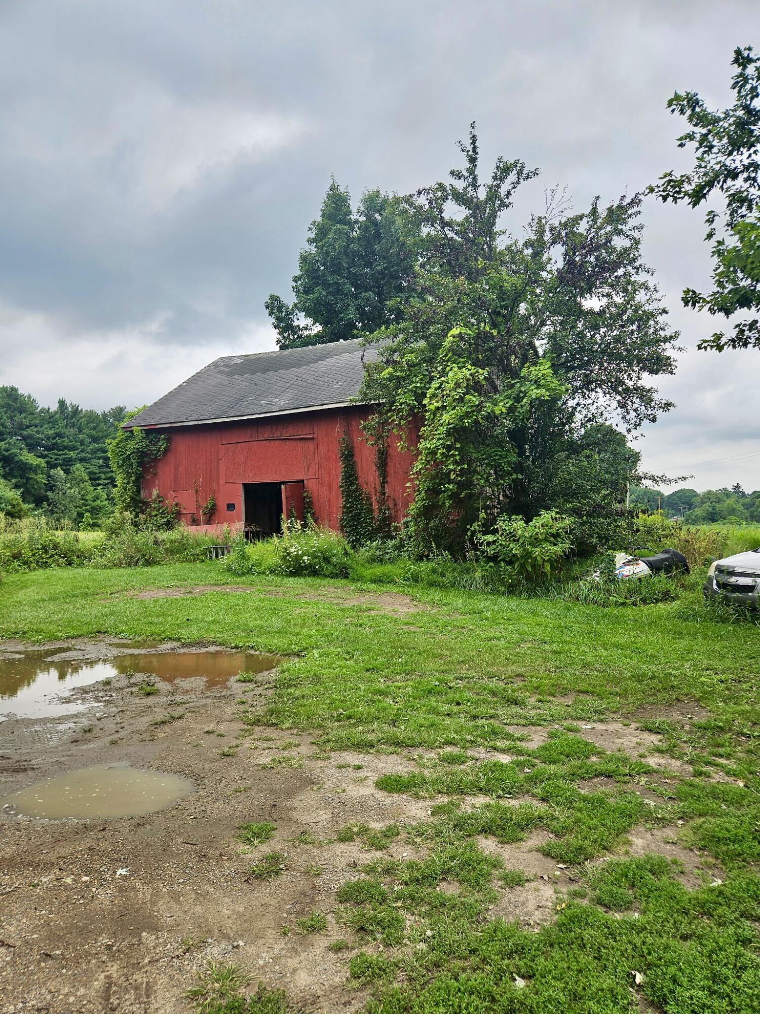 2800 North Edon Road Allen, MI 49227 - Photo 4 of 10 20260813_145423