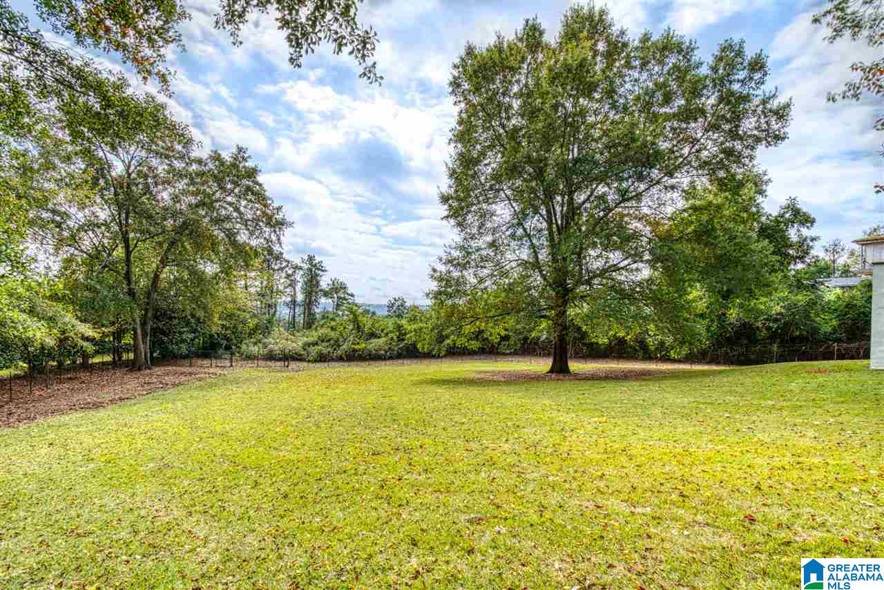2509 Lanark Road Birmingham, AL 35223 - Photo 49 of 50