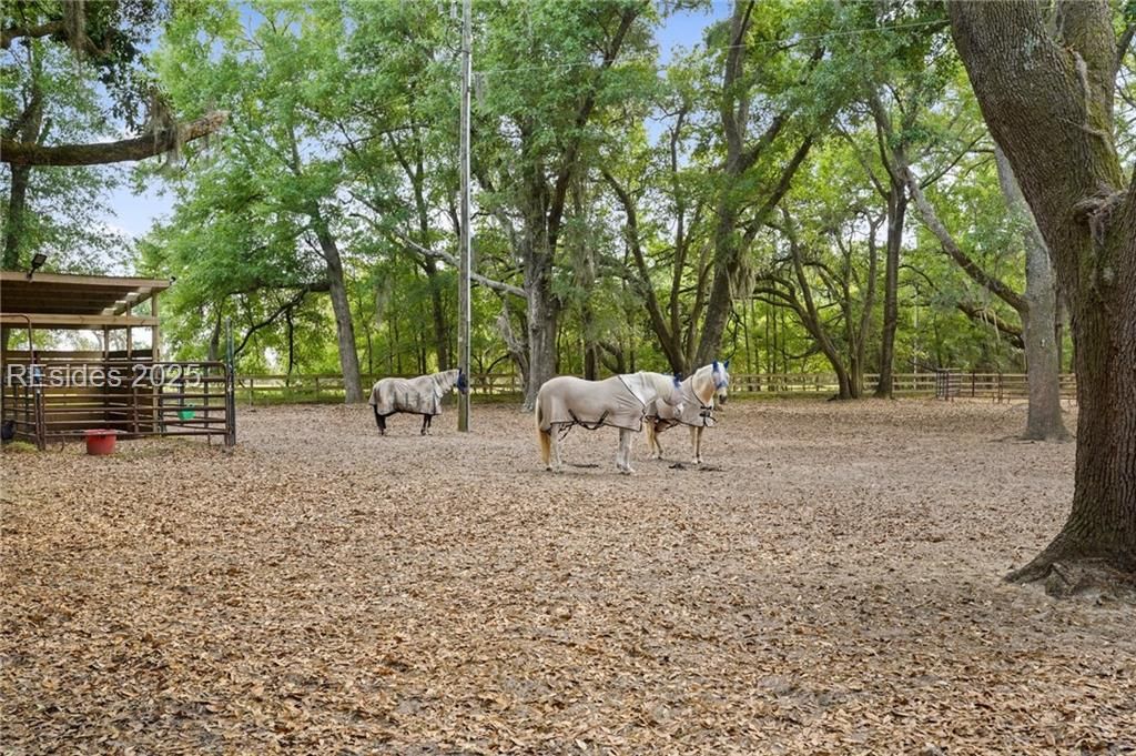 71 Tropicana Road St. Helena Island, SC 29920 - Photo 26 of 31