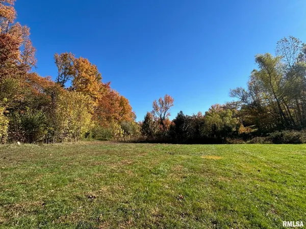 a view of a field with a tree in the background